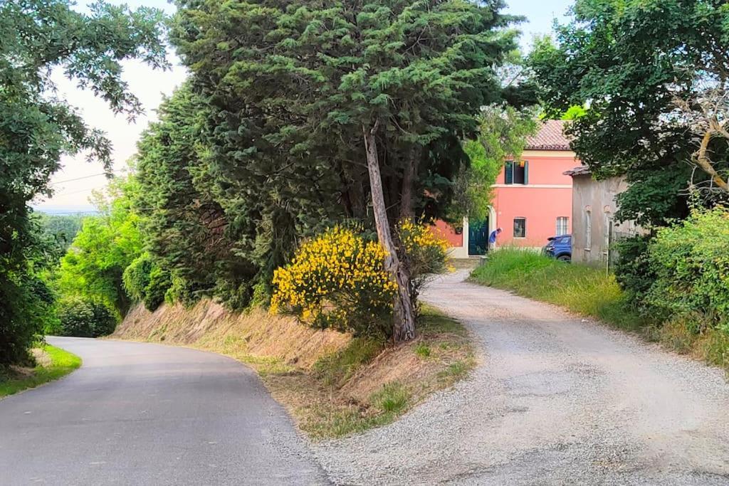 Casale San Teodoro - Mondaino Rn Βίλα Εξωτερικό φωτογραφία